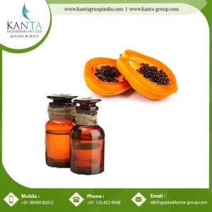 Indian Manufacturer Papaya Seed Oil Supplier