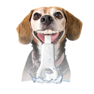 Innovative 2017 Pet Accessory Dental Supply Pet Dog Grooming Kit Dog Teeth Freshing