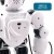 Import Kids Boys Toys Intelligent Ai Hobby Infrared Remote Controltoy Robots Smart Toys Dancing Robot Toy from Pakistan
