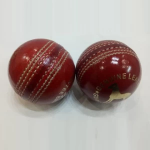 Kids Cricket Leather Ball
