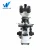Import Laboratory Biological Microscope,Fluorescent Microscope from China