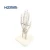 Import Life-size PVC Human hand model, Hand Joint, hand Skeleton Model for Teaching Medical Science from China