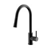 Long Neck Sink Mixer Tap Single Handle Black Faucet 304 Kitchen Tap with pull down spray