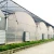 Import Low Cost Customized Agriculture Plastic Film Greenhouse from China