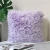 Import Luxury Latest Fashion Sofa Couch Bed Car Super Soft Long Hair Faux Fur Fleece  Pillowcase Cushion Cover from China
