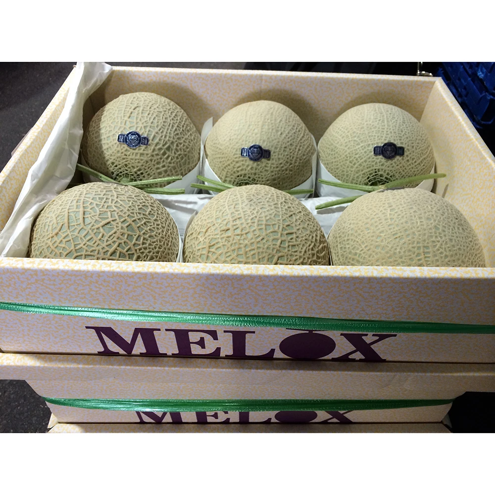 Made in Japan 100% natural sweet melon with good reputation