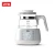 Import Manufacturer Well Made  tea boiler machine Ztk Thermostatic Kettle/thermostat/ Electric Kettle from China