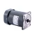 Import Micro AC Gear Motor from China