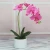 Import Mini bonsai artificial flower silk butterfly orchid bonsai for home decoration from China