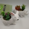 Modern Decorative Ceramic Succulent Planter Plant Flower Pot with Tray Saucer Matt Black