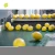 Import Montale  Wholesale Yellow High Quality Healthy Citrus Fruit Fresh Lemons from China