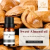 Natural 100% Pure Plant Therapeutic Grade 10ml Sweet Almond oil Aromatherapy Essential Oils