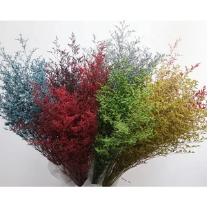 natural real preserved limonium flowers as flowers bounquets for florwerist