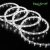 Import NEO-NEON SMD LED Duralight Ropelight Quality Waterproof PVC Copper Outdoor Garden Rope Light from China