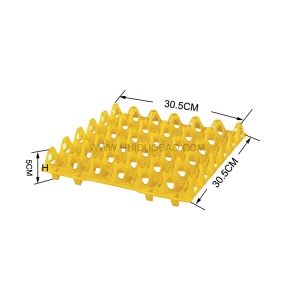 New Arrival Clamshell Disposable 12Ct Plastic Egg Cartons