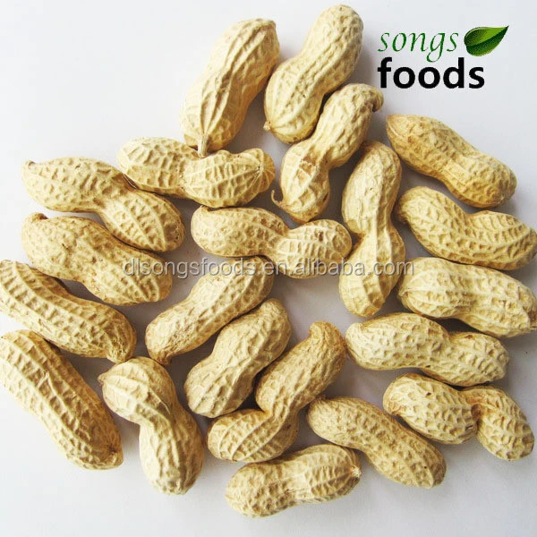 New Crop Chinese Raw Peanuts Inshell