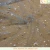 Import New fashion printed shiny sliver snowflake Bronzing fancy tulle fabric for dress from China