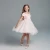 Import New productsmesh skirts baby boutique summer dresses kids from China