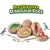Import New style archaeological dinosaur model toys children educational kids toys dinosaur egg toy from China