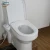Import Non-electric toilet attachable bidet EB7000 from China