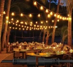 Northland Plug in luces de navidad ST38 decoration outdoor outside courtyard wedding holiday party patio led string light