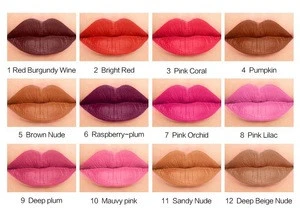 OEM/ODM Waterproof Lipstick Moisture Matte Color Nude LipStick