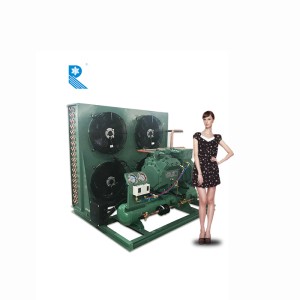 ood price cold room refrigeration for Bitzer