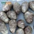Import Organic fiji purple taro at cheap price from China
