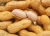 Import Peanuts from United Kingdom