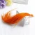 Import Pheasant Feather Material and Dyed Pattern Colorful Chicken Feathers For Hair Extension On Sale from China