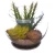 Import Plastic mini artificial succulent plant bonsai with pot for decoration from China