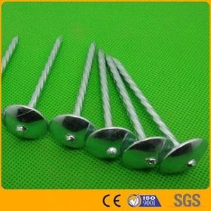 Polished roofing nails with washer with umbrella head