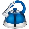 portable gooseneck Heat retention Color Stainless Steel metal Tea water Whistling Kettle