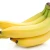 Import Premium Quality Cavendish Banana from France