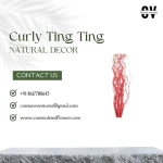 Premium Quality Curly Ting Ting Christmas Sparkle Branches for Christmas Wedding Dried Flower Decor