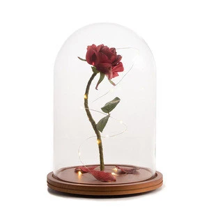 Preserved Fresh Flower in Glass Dome with LED light