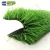 Import Professional Artificial Green Carpets Grass for Soccer Sport from China