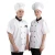 Import Promotion short sleeve gray restaurant hotel kitchen jacket chef coat uniform from China
