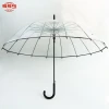 Promotional Customized PVC Printing Straight Fashion Transparent Umbrella