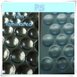 PS Plastic Fruit Tray