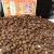 Import Pure Sumatera Sidikalang Coffee Roasted/Green Arabica Coffee Beans Indonesia from Indonesia