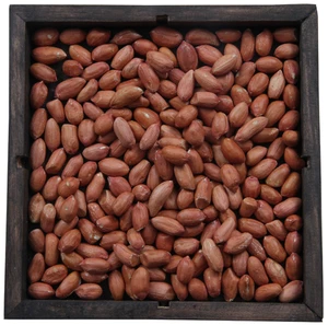 Red Peanut,blanched peanut kernels,Bold PeanutsBlanched Peanuts Java Peanuts/ Raw Peanuts Kernel / Raw Peanut in Shell
