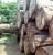 Import S4S Ekop Naga timber raw material from China
