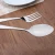 Savall HoReCa Silver Cutlery Set Stainless Steel Set  Knife Fork Spoons Dinner Set