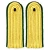 Import Silver Shoulder Board on green padding | General Shoulder Board | shoulder pads from Pakistan