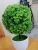 Import Small potted plant simulation of plastic potted plants and artificial flowers from China