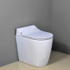 Smart Back-to-wall WC pan