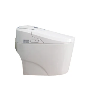 Smart Bidet High Quality Toilet Seat Ceramic Smart Toilet Intelligent