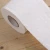 Import Soft and smooth bamboo toilet paper toilet tissue bathroom tissue 2ply 10 rolls/pack from China