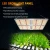 Import Spider SF4000 Samsung lm301b Quantum Boards Led Grow Light for Indoor Garden from China